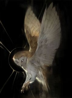 an owl flying through the air with its wings spread