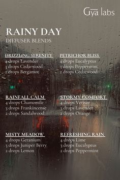 Turn a rainy day into a cozy retreat with our Rainy Day Diffuser Blends – the perfect scent for staying in and enjoying the drizzle. 🌧️🕯️ #RainyDay  #GyaLabs #UpliftYourEveryday #essentialoils #summerseason #amazing #soulwisdom #Julyvibes #summer  #summervibes #abundance #abundancemindset #miracles #blessings #inspiration #NaturalCare #HealthyLiving #EssentialOils #woman Rainy Day Essential Oil Blend, Rainy Day Essential Oils Diffuser Blends, Rainy Day Diffuser Blends, Essential Oils Diffuser Blends, Essential Oil Spray Recipes, Essential Oils Health