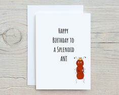 a birthday card with the words happy birthday to a splendid ant on it, and an ant