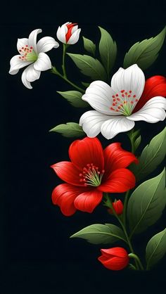 three white and red flowers with green leaves on a black background, painted in acrylic paint