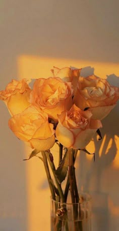 some yellow roses in a clear glass vase