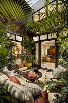 a living room filled with furniture and lots of plants