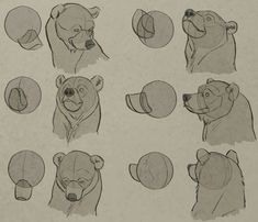 several drawings of bears with different facial expressions