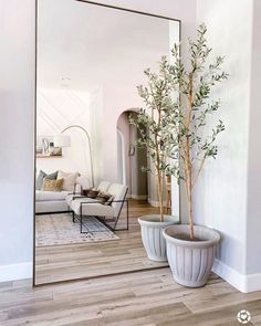 there is a potted plant on the floor in front of a mirror and couch