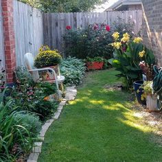 a back yard filled with lots of plants and flowers