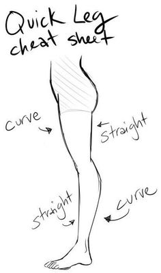 a drawing of a person's legs with the words quick leg chart