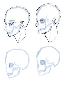 three different views of a human head