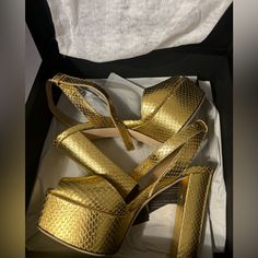 Never Worn Brand New With Box And Dust Bag Zanotti Shoes, Giuseppe Zanotti Shoes, Giuseppe Zanotti, Shoes Women Heels, Dust Bag, Shoes Heels, Women Shoes, Brand New, Heels