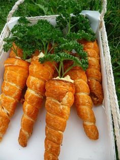 some carrots are in a white box on the grass and tied to a rope