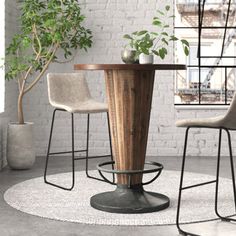 a table with two chairs and a potted plant