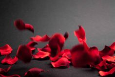 red petals are scattered on a black surface