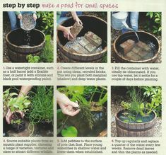 instructions for how to make a pond in a barrel