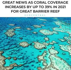 the great news as coral coverage increase by up to 39 % in 2012 for great barrier reef