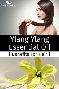 Ylang Ylang Essential Oil Benefits For Hair- From strengthening to moisturizing to reducing hair loss and more, learn the benefits of Ylang Ylang Essential Oil for hair. Ylang Ylang Essential Oil Benefits, Scalp Remedies, Essential Oil For Hair, Rosemary Oil For Hair Growth, Herbal Oils, Rosemary Oil For Hair, Oil For Hair Growth, Yl Oils, Ylang Ylang Essential Oil