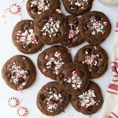 gluten - free chocolate mint cookies with candy canes