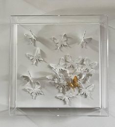 a group of butterflies in a clear frame on a white surface with one gold butterfly