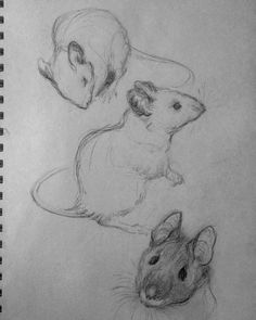 two drawings of mice and a man's head