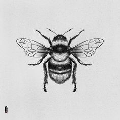 a black and white drawing of a bee