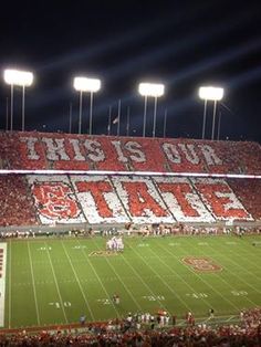 a stadium filled with lots of people sitting on the sidelines