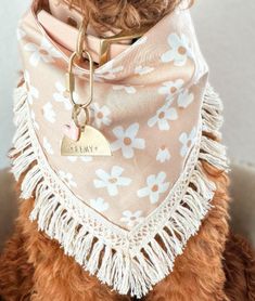 a brown dog wearing a pink bandana with white flowers on it's collar