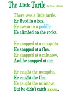 a poem written in green and blue with words below it that read, the little turtle