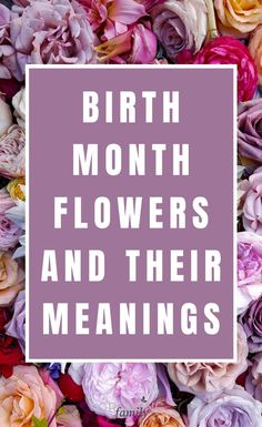 the words birth month flowers and their meanings in front of a background of pink roses