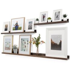 the shelves are filled with pictures and plants