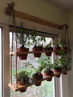 a window sill filled with potted plants on top of wooden shelves next to a window