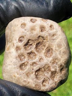 a close up of a person's hand holding a rock