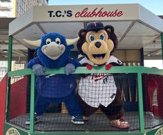 two mascot characters standing on top of a batting cage in front of a t c's clubhouse sign