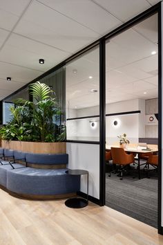 an office with large glass walls and plants in the center, along with wooden flooring