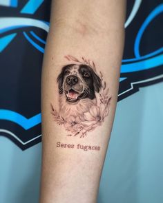 there is a tattoo on the arm of a dog