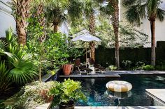 an outdoor pool surrounded by palm trees and plants