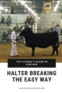 a man holding the reigns of a black bull in an arena with people looking on