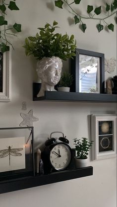 two shelves with pictures, plants and an alarm clock on them in front of a window