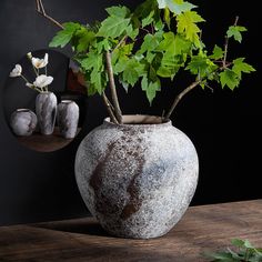 a potted plant sitting on top of a wooden table next to two vases