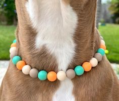 a brown and white dog wearing a multi colored beaded collar with an orange, yellow, blue, and green bead around it's neck