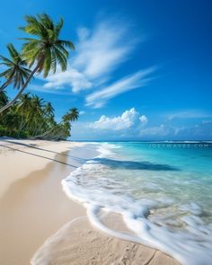 a beach with palm trees and blue water