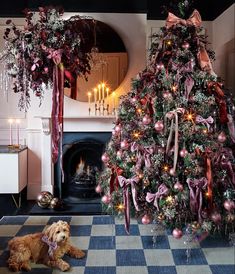 a dog laying on the floor in front of a christmas tree with pink ornaments and bows