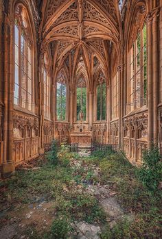 the inside of an old building with lots of windows and plants growing in the floor