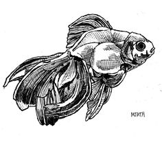 a black and white drawing of a fish with its head turned to look like it is swimming