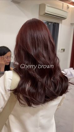 Plum Dark Hair, Cherry Chestnut Hair, Brown Wine Hair Color, Cherry Brown With Highlights, Light Cherry Brown Hair, Mahagoni Hair Color, Cherry Color Hair, Cherry Mocha Hair, Brown Cherry Hair