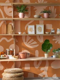 a shelf with some plants and pictures on it next to a potted plant in front of an orange wall