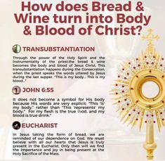 an advertisement with the words how does bread and wine turn into body & blood of christ?