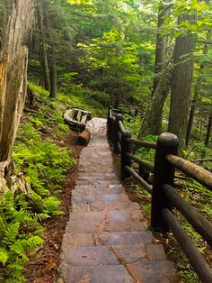 a stone path in the woods leading to a wooden fence with benches on each side