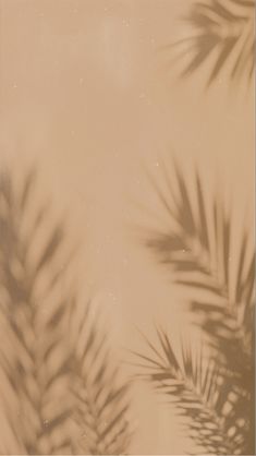 palm leaf wallpaper beige points dusty brown aesthetic pared boho bohemian lock screen shades sombras hojas palma fondo de pantalla Bohemian Iphone Wallpaper, Leaves Wallpaper Iphone, Wallpaper Boho, Palm Leaf Wallpaper, Beige Wallpaper, Gold Aesthetic