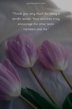 Take a moment to give thanks when someone does you a favor, no matter if it’s big or small. I have collected some of the best “thank you for caring” messages to help you express gratitude. Thank You For Caring, Express Gratitude, Stand By You, Need Someone, Expressing Gratitude, Give Thanks, When Someone, Gratitude