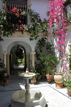 an outdoor courtyard with potted plants and flowers