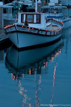 a white boat with christmas lights on it is docked in the water next to other boats