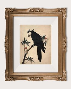 a black bird sitting on top of a tree branch next to a white and gold frame